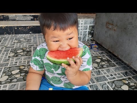 Trò Chơi Chạy Ô Tô Đi Mua Dưa Hấu ❤ PinPin TV ❤ Đồ Chơi Bé Pin