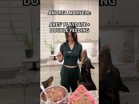 PLAYDATE ‼️ #dogshorts #doberman #dogfood #dogfeeding #vlog #doglife