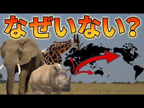 アフリカとアジアほど大きな動物が他の大陸にいない理由【解説動画】