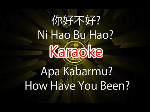 Ni Hao Bu Hao – 你，好不好 – How Have You Been – Karaoke – Terjemahan – Lyrics – Lirik