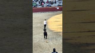 Con Tan Solo 12 Años Y Deja A Todo El Público En Shock ¡Impresionante! #shorts