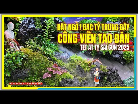 BẤT NGỜ ! TRƯNG BÀY BẠC TỶ tại CÔNG VIÊN TAO ĐÀN | HỘI HOA XUÂN 2025 SÀI GÒN | Tết Sài Gòn 2025