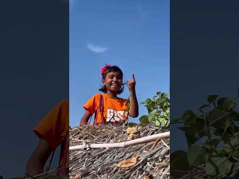 Forest Survival: Step-by-Step Wooden Log Cabin Build 🌲🏕️