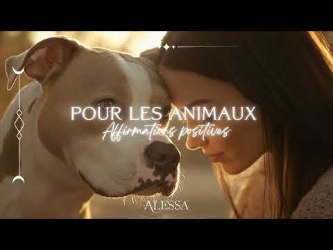 Affirmations positives pour les animaux