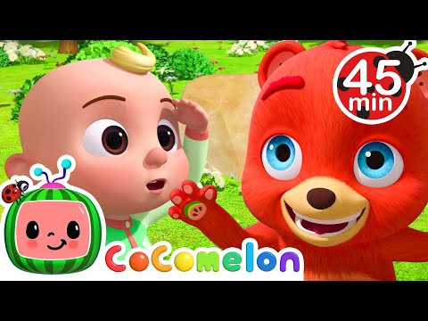 Peekaboo Song + More! | CoComelon Animal Time - Learning with Animals | Nursery Rhymes for Kids