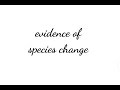 Evolutionary Biology Concepts