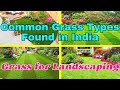Types of Grass for Landscaping