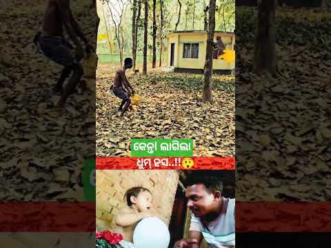 A Gaja..!!🙄 Monkey Prank..!!😲 ଧୁମ୍ ହସ..!!😂 Entertenment..!!🤣 #viralshort #trend #funny #funnyvideos