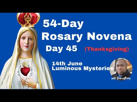 54-Day Rosary Novena Day 45: June 14