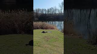 Tonkuhle Hildesheim  27.2.2026