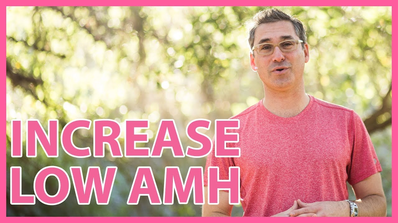 How To Increase Amh Levels