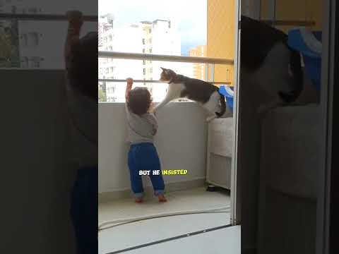 A cat saves a child's life #shorts #cat #viral #stories
