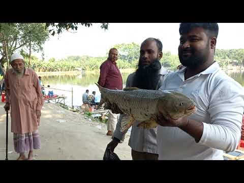 ৩০ হাজার টাকা টিকিটে কেমন মাছ শিকার চলছে