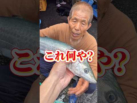 春が旬‼️といえばやっぱりこの魚でしょう😆🐟🙌‼️ #船長の日常 #淡路島