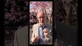 😳 Rekordzahlen aus Frankreich und frohe Ostern! www.missionispossible.org