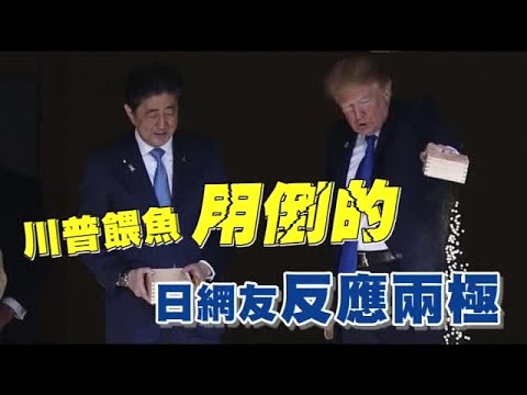 川普餵魚超不耐 日網友氣炸  | 台灣蘋果日報 - YouTube