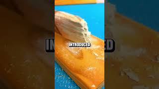 #Reddit #Reddit Stories #Storytime #DIY #FYP #Satisfie