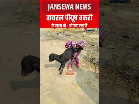वायरल पीयूष बकरी के साथ बो - बो कर रहा है! Jansewa News #viral #piyush #viralboy #viralpiyush #siwan