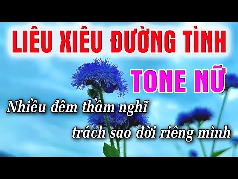 Liêu Xiêu Đường Tình Karaoke [ Tone Nữ ] Beat Karaoke Nhạc Sống Chất Lượng Cao | Lâm Organ