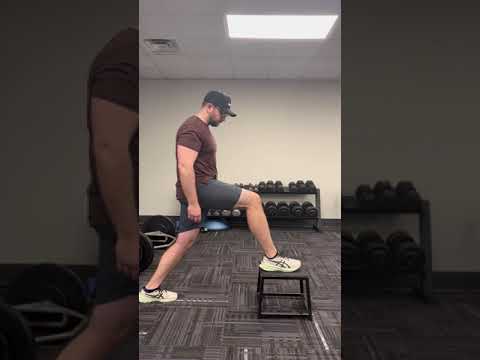 ATG Split Squat – Muscles Worked, How-To, Benefits, and Alternatives –  Fitness Volt