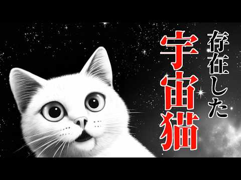 【雑学】実在した宇宙猫を調べたら、想像以上にアレだった