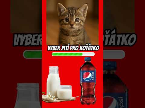 VYBERTE VŠE SPRÁVNĚ.🧠#choose #brainrot #guessinggame #shorts #funnyvideos