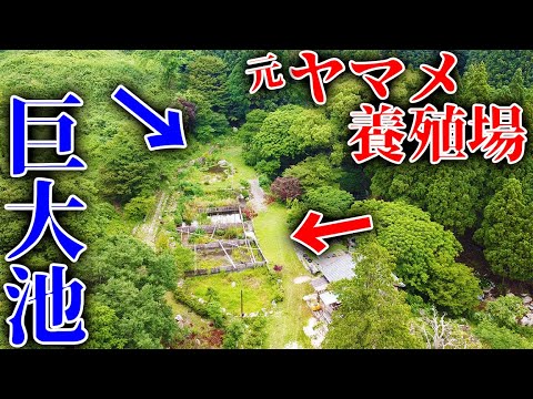 【山復興＃1】ついに東京ドーム3つ分の山購入？？