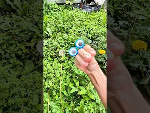 NO EATING FLOWERS!