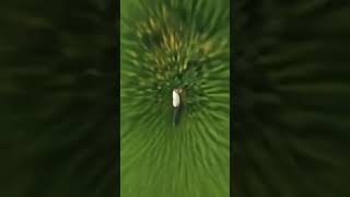 Earth zoom trend #shorts #viral #shortvideo #earthzoom #trending #shortvideo #viralvideo #funny