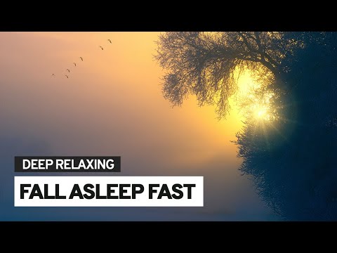 Meditation Music Deep Relaxing 2 Hours 💤  Fall Asleep FAST Music Insomnia 🎵
