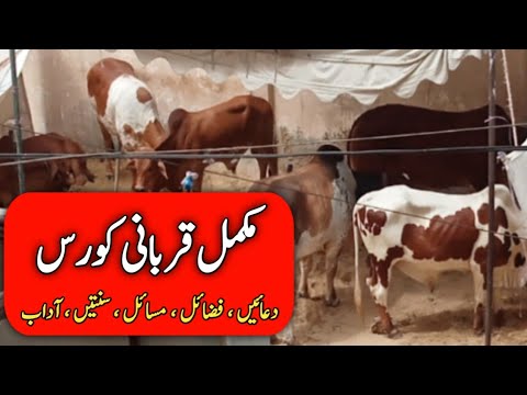 Complete Qurbani Course – Duas, Virtues, Rulings & Eid Sunnahs