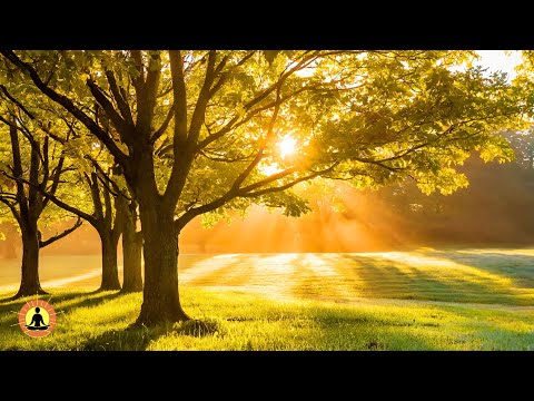 8 Hours of Relaxing Music with Peaceful Forest Sounds: Study Focus Music, Meditation Music | Healing