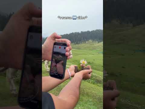 Show the beauty of nature in Kashmir 🌱 my first video here ❤️
