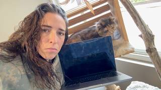 The Cat BROKE My Laptop!!!!!!!!