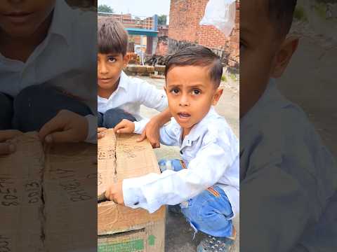 itne sare kabutar 🕊️🫣dabbe mein #viral#video#youtubeshorts