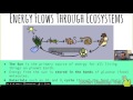 Photosynthesis and Cellular Respiration Concepts