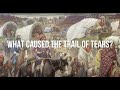 Indian Removal and Cherokee History