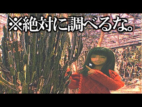 ※この画像を絶対に調べないでください。終わります。　 実況プレイ