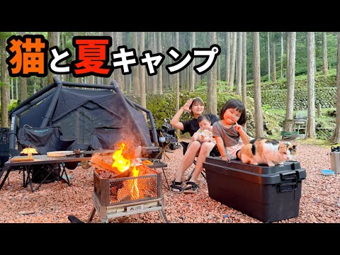 夏でも涼しい猫とキャンプができるおすすめキャンプ場でファミリーキャンプ！！