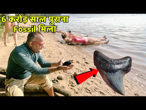 अमेरिका में जीवाश्म की खोज Shart teeth Discovery vlog APNA AMERICA