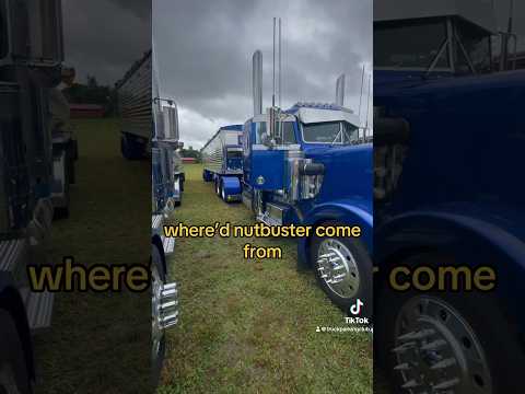 “Nutbuster” truck for sale! #truckparking #truckinaround #truckdrivers #trucks #trucker #truckin
