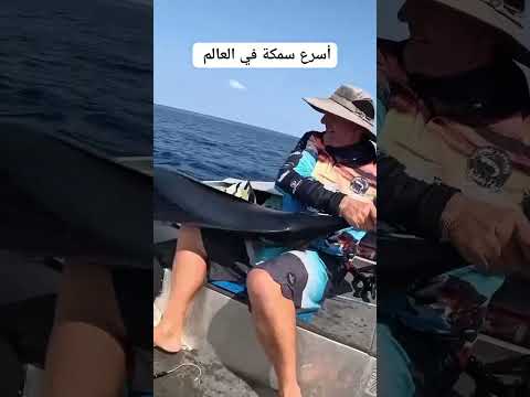 اسرع سمكه فى البحار #صيد #اسماك اسماك #shorts #shortvideo