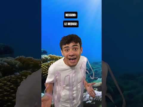 Se le MEDUSE POTESSERO PARLARE -  Gabriele Vagnato