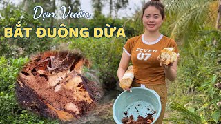 Cả Nhà Cùng Bích Hương Ra Làm Vườn Và Bắt Đuông Dừa Nha