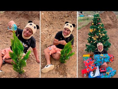 NIÑO POBRE DESEA UN ARBOL REAL DE NAVIDAD - LOS MEJORES TIKTOKS DE LEX JARA