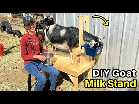 DIY Goat Milking Stand - Simple and Easy