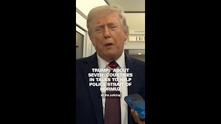 Trump: 'About seven' countries in talks to help police Strait of Hormuz
