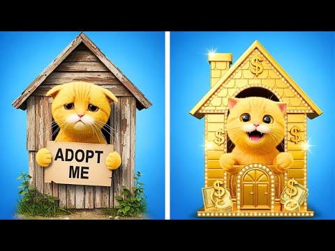 KUCING MAINAN menjadi HIDUP! 🧸✨ Rumah Hewan Peliharaan Rahasia Untuk Hewan Peliharaan Adopsi