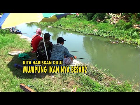 BUKAN S0MB0N9 !! Mancing di saat selesai Banjir,ikan nya besar besar