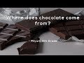 History and Types of Chocolate